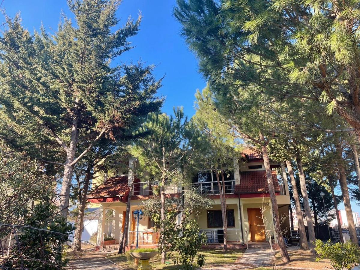 Ferienhaus Garden Ardo Golem (Tirana)