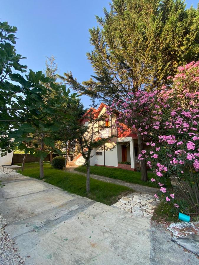 Garden Ardo * Golem (Tirana)
